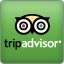 tripadvisor