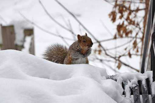 vinter3